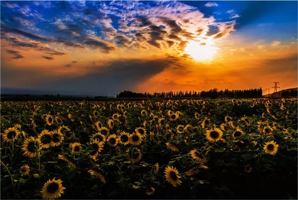 【纪检人·镜头】金秋十月 美丽中国