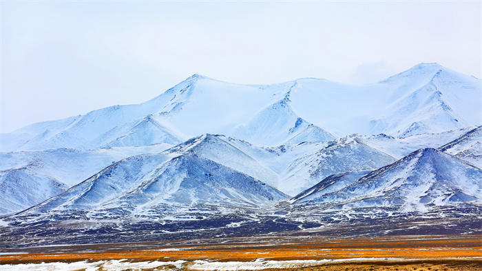 镜头 | 野性阿尔金