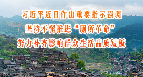 习近平近日作出重要指示强调 坚持不懈推进“厕所革命” 努力补齐影响群众生活品质短板