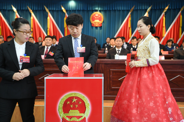 代表们投票选举监察委员会主任