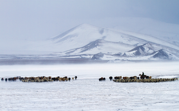 【纪检人·镜头】大寒：瑞雪待春来