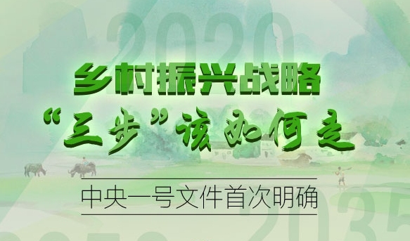 乡村振兴战略“三步”该如何走 中央一号文件首次明确
