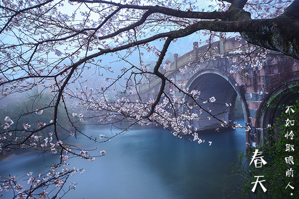 宋词里的春天：千里万里，我将春天献给你