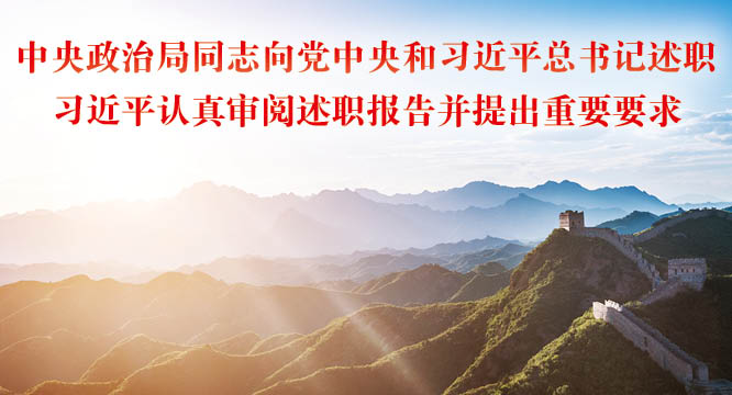中央政治局同志向党中央和习近平总书记述职