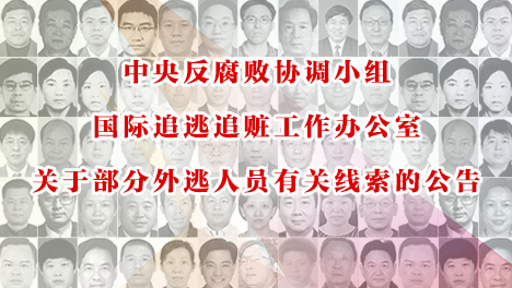 中央反腐败协调小组国际追逃追赃工作办公室关于部分外逃人员有关线索的公告