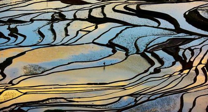 【跟着镜头品诗词】四季歌－夏之绚