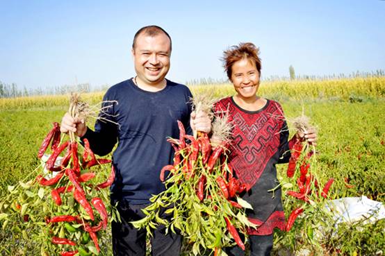 【纪检人·镜头】气冷凝晚秋 寒露来相伴