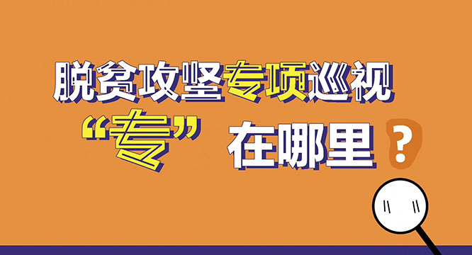 【短视频】脱贫攻坚专项巡视“专”在哪里？