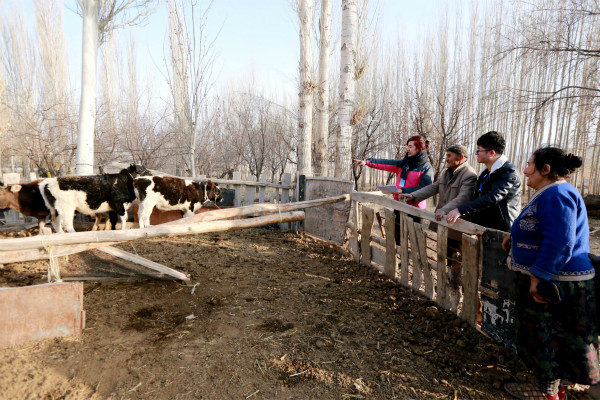 【纪检人·镜头】推动解决问题是落脚点