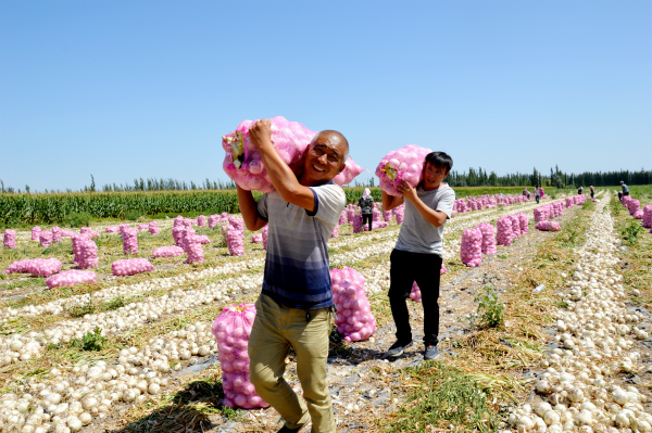镜头 | 秋风何冽冽 白露为朝霜