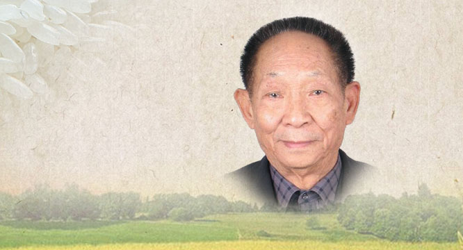 海报 | “共和国勋章”获得者：袁隆平