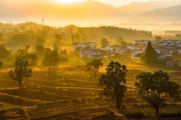 镜头 | 寒露湿青苔 别来蓬鬓秋