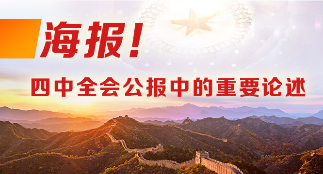 海报！四中全会公报中的重要论述