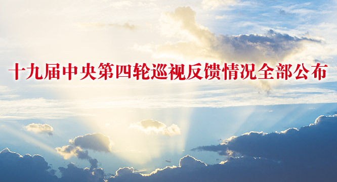 十九届中央第四轮巡视反馈情况全部公布