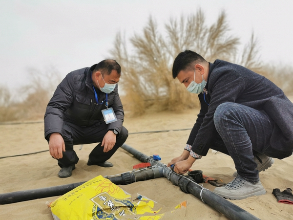 镜头丨植树添绿正当时