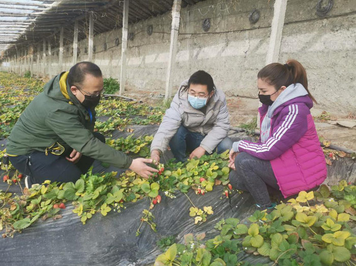镜头|生计有保障 增收有希望