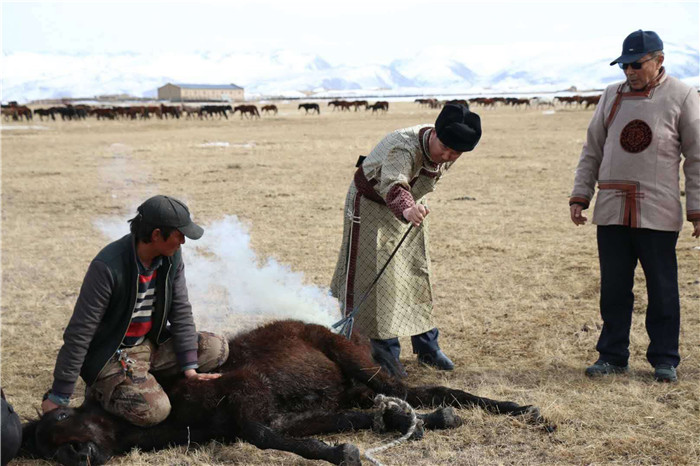 镜头 | 印记文化——烙马印