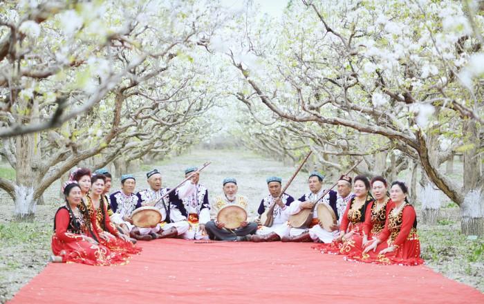 镜头 | 又见梨花开