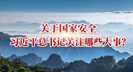 关于国家安全，习近平总书记关注哪些大事？