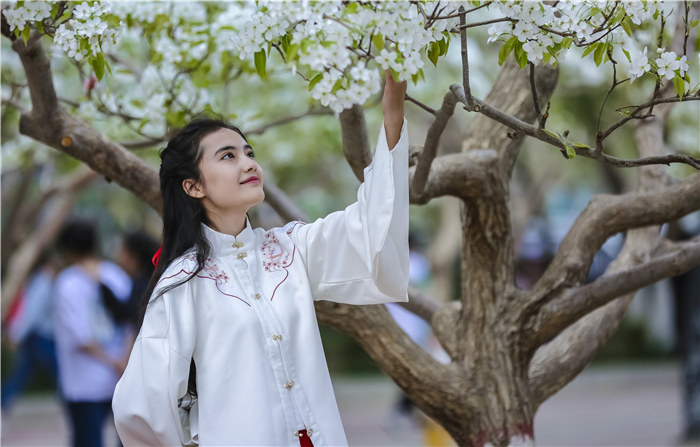镜头丨谷雨之后再无寒，人间芳菲已向暖