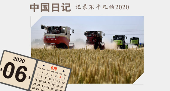 麦花香里话丰收