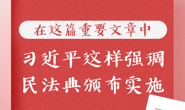 在这篇重要文章中，习近平这样强调民法典颁布实施