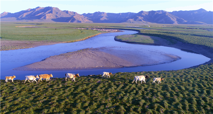 镜头丨夏至已至 万物争荣