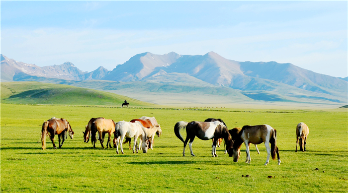 镜头丨但惜夏日长，且等清风来
