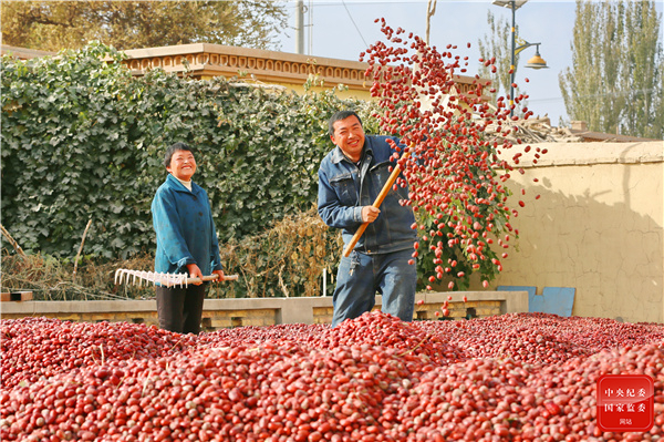 镜头｜金气秋分