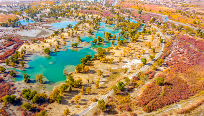 镜头丨漫天秋霜中 静候冬日来