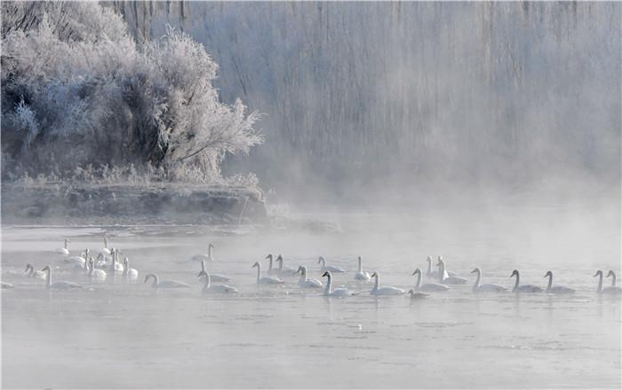 镜头 | 大寒雪未消