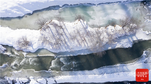 跟着镜头品诗词丨最爱东山晴后雪