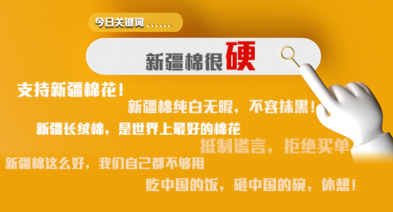 今日关键词：新疆棉很硬