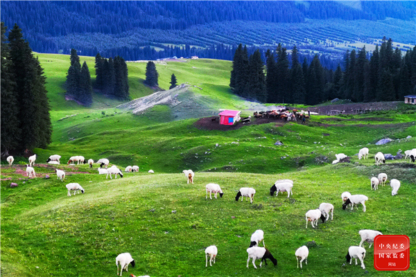 镜头｜大美七月