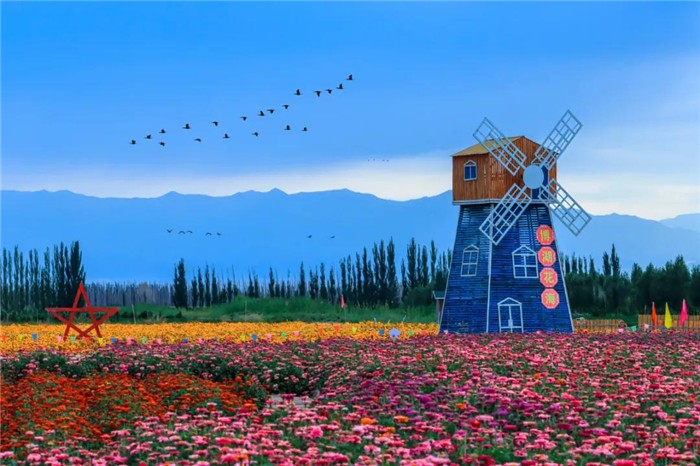 立秋：云天收夏色 木叶动秋声