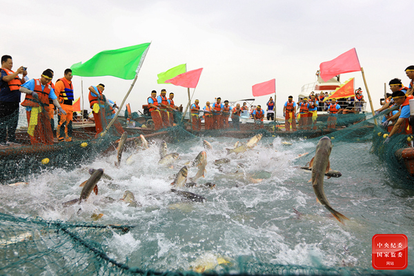 镜头 | 花好月正圆