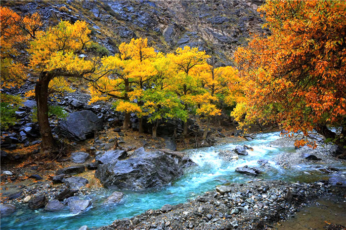 镜头 | 寒露临 秋意浓
