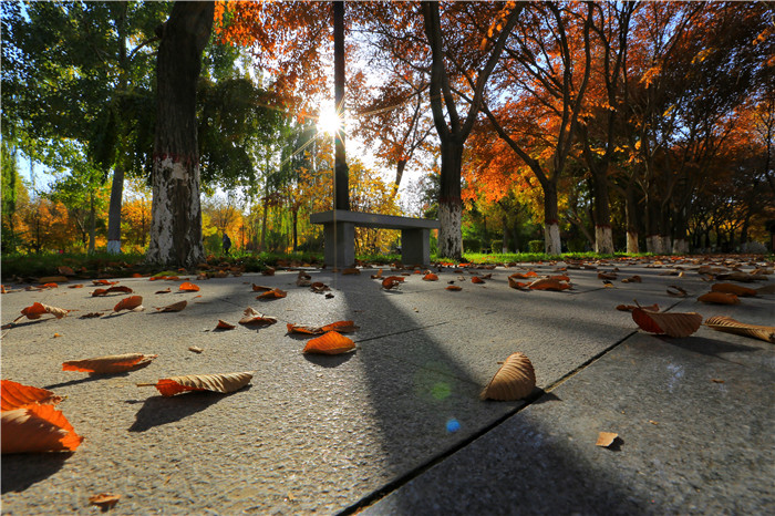 镜头 | 天凉好个秋