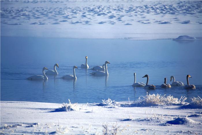 镜头 | 小雪至 冬始俏