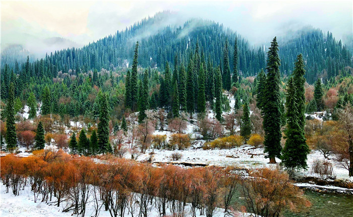 镜头 | “醉”美巴州之冬日清韵