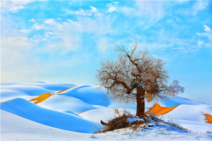 镜头 | 冬至临 岁已寒