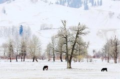 镜头 | 大寒：冬尽春将至