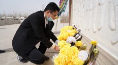 镜头 | 清明临 万物皆洁齐