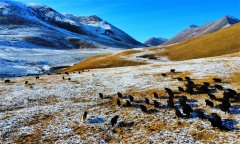 镜头 | 惊蛰万物生