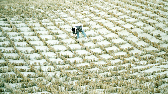 镜头 | 时至惊蛰 万物生机盎然