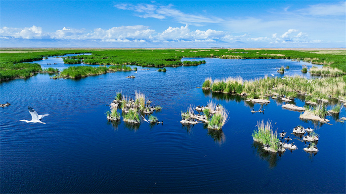 镜头 | 小满至 夏意浓