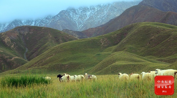 镜头 | 小得圆满   渐入佳境