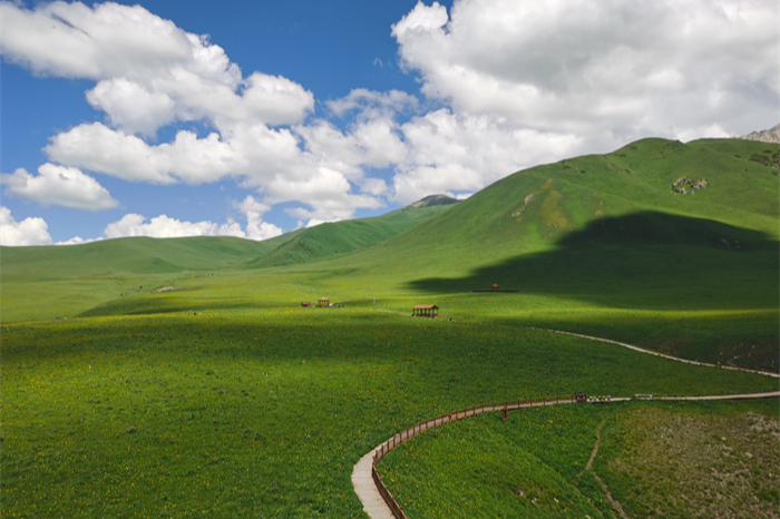 镜头 | 大暑至 夏正浓