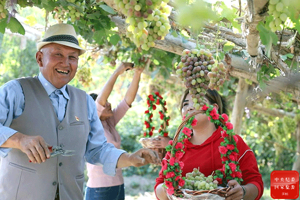 镜头 | 夏日食事