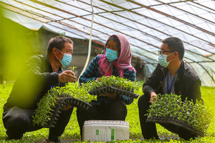 镜头丨“室组”联动监督聚合力